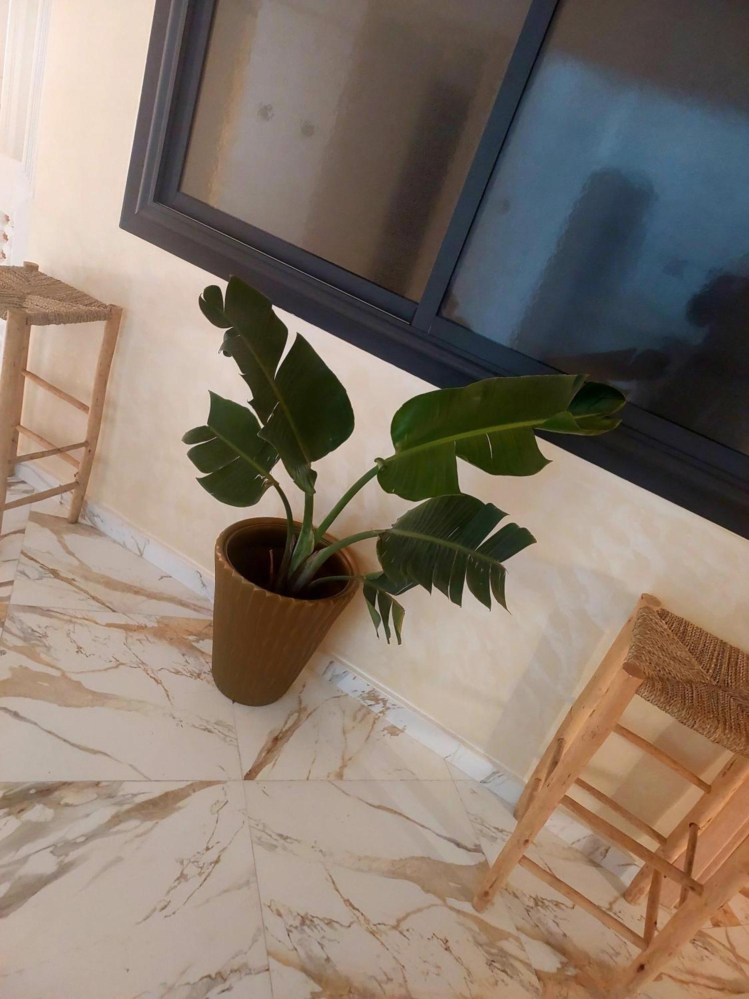 Mogador Appartements T6 Essaouira Exterior foto