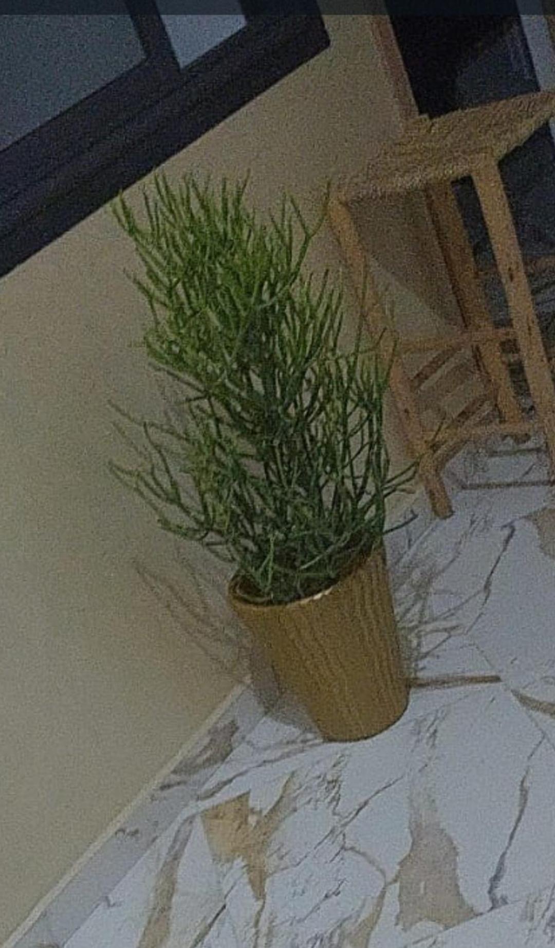 Mogador Appartements T6 Essaouira Exterior foto